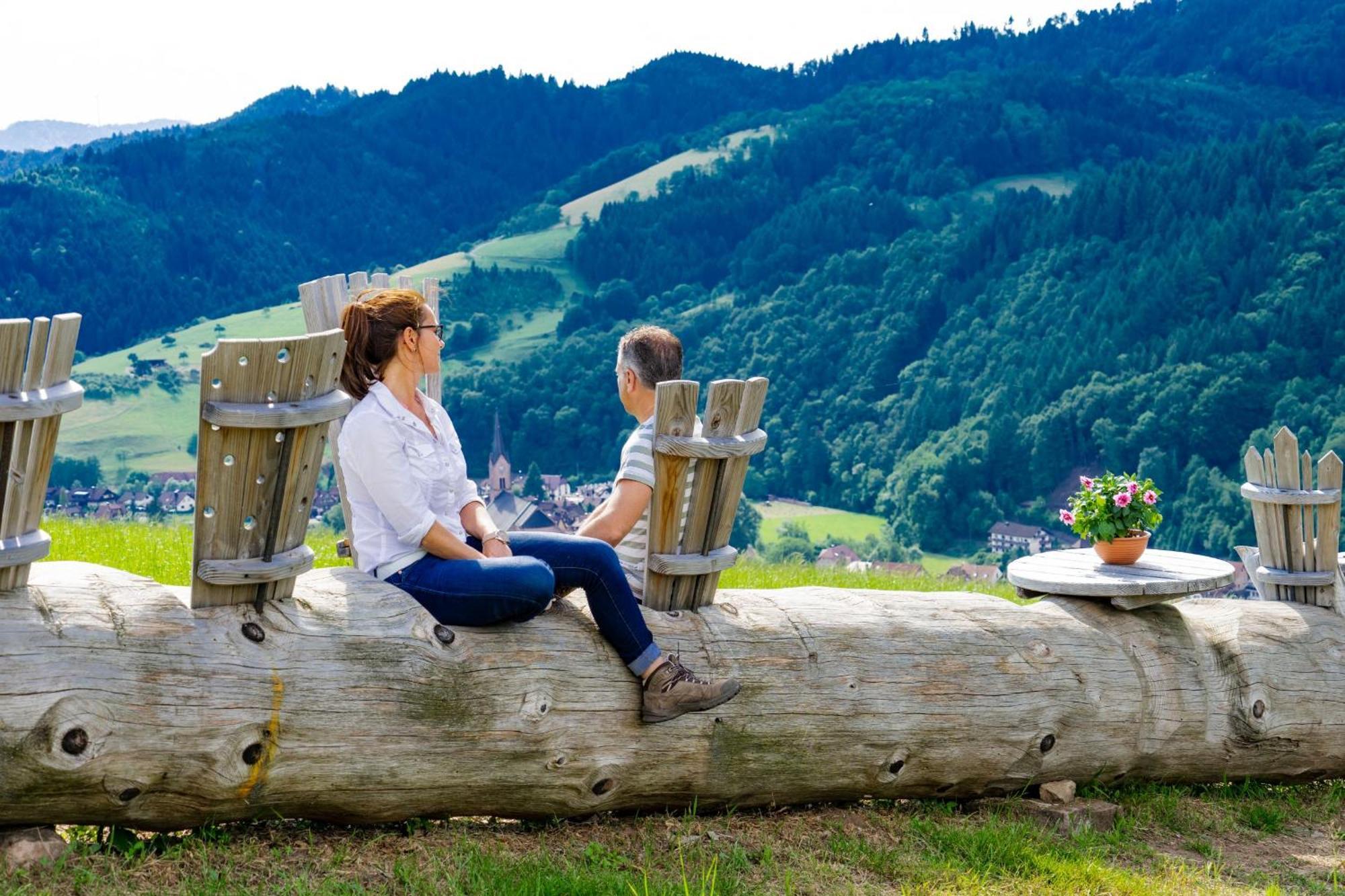 Ferienwohnungen Golla-Lang Oberharmersbach Bagian luar foto